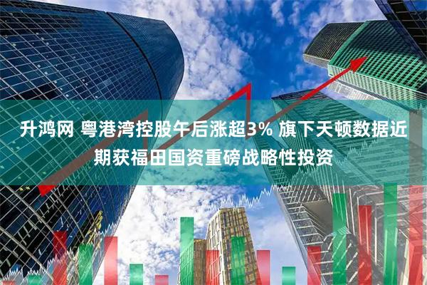 升鸿网 粤港湾控股午后涨超3% 旗下天顿数据近期获福田国资重磅战略性投资