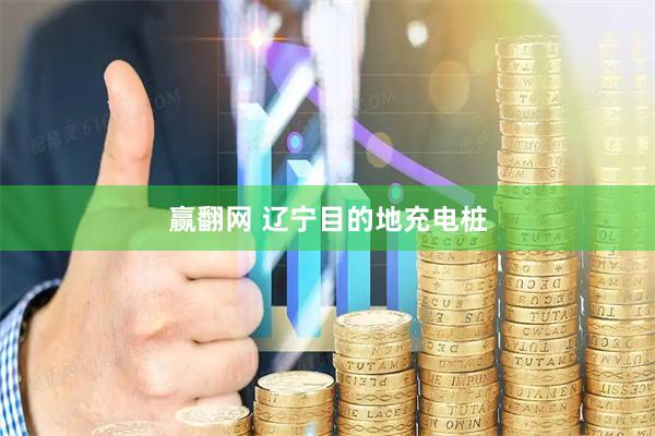 赢翻网 辽宁目的地充电桩
